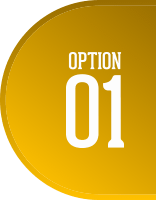 OPTION 01