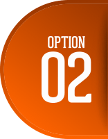 OPTION 01