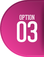 OPTION 01